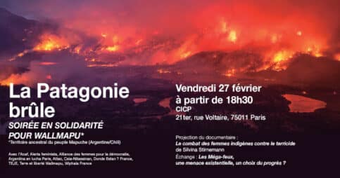 Solidarité avec les Mapuches d’Argentine et du Chili