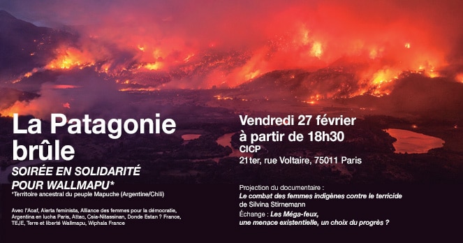 Solidarité avec les Mapuches d’Argentine et du Chili